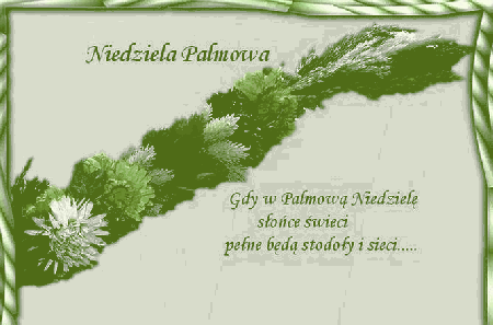 Kartka z palmą i życzeniami